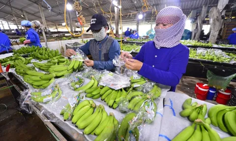 Tây Ninh là điểm đến mới của ngành chế biến sâu, thực phẩm chất lượng cao