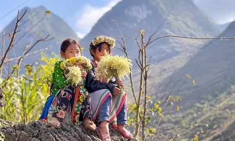 Cao nguyên đá Đồng Văn nhận giải thưởng 'Điểm đến khu vực hàng đầu thế giới'