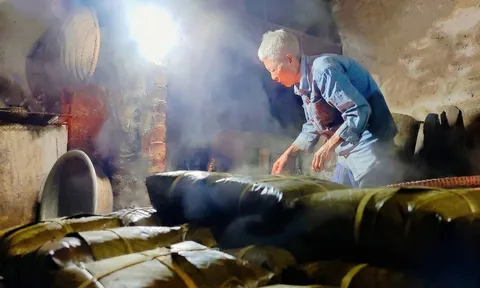 Những vết nứt biết thở và mùi hương của sự trở về