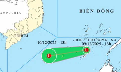 Áp thấp hình thành ở Nam Biển Đông, vùng biển Khánh Hòa - Cà Mau gió mạnh, sóng cao