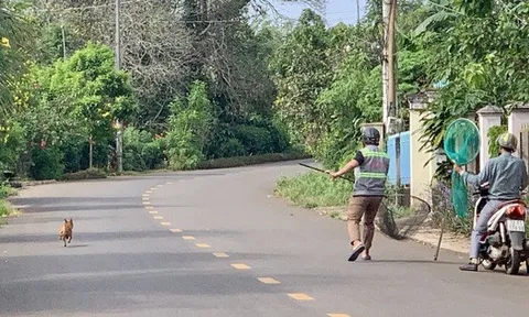 Chỉ trong 1 buổi sáng, tổ bắt chó thả rông của 1 xã ở TP HCM tóm tổng cộng 7 con