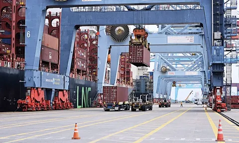 Lo 'nhập siêu logistics' kéo dài, kiến nghị phát triển trung tâm hàng hải quốc tế tại TP.HCM