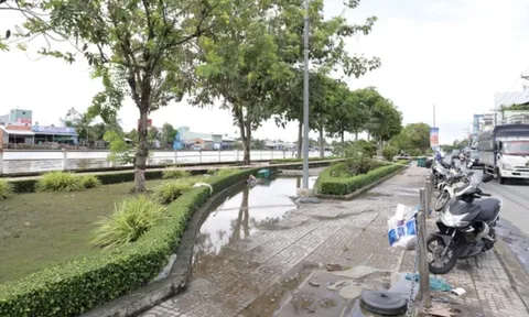 Giám đốc Sở Công Thương TP Cần Thơ nói gì về vụ rò rỉ điện khiến 2 học sinh thiệt mạng?