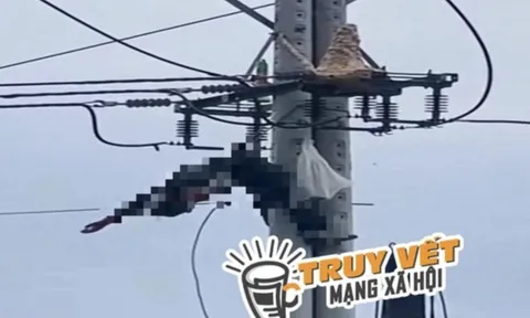 Bắt ong vò vẽ, một thanh niên bị điện giật tử vong