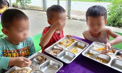 MoMo lên tiếng về thông tin liên quan ông Hoàng Hoa Trung và dự án Nuôi em