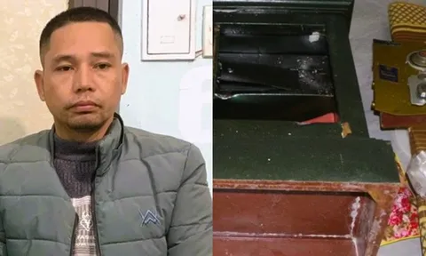 Bắt giữ Đặng Xuân Trường