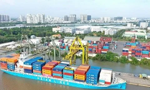 629 nhân viên của Xếp dỡ Hải An sắp được mua cổ phiếu ESOP với giá hời