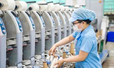 Vinatex xuất khẩu đạt 46 tỉ USD, lo ngại thuế đối ứng tiếp tục 'tiềm ẩn rủi ro'