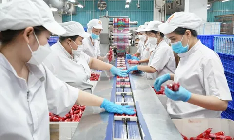 VISSAN chi hơn 530 tỉ đồng dự trữ hàng Tết, tung loạt sản phẩm mới