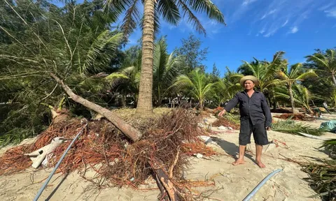 Bãi biển Mỹ Khê có nguy cơ bị "xóa sổ" do triều cường, sóng lớn bất thường