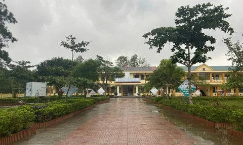 Phó Hiệu trưởng Đỗ Thị Hồng Huế bị cách chức, địa phương đề xuất duy trì bếp ăn bán trú