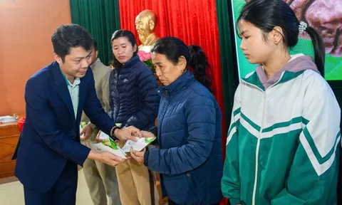 Nguồn lực quý giá từ GREENFEED hỗ trợ bà con tái thiết sau bão lũ