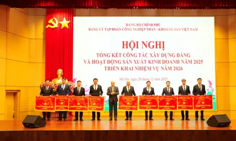 TKV nộp ngân sách khoảng 25.500 tỉ đồng năm 2025