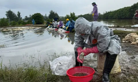 Cục Xăng dầu thông tin về sự cố tràn dầu ở Quảng Ngãi