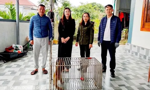 Chuyện hiếm gặp giữa khu dân cư ở Quảng Trị