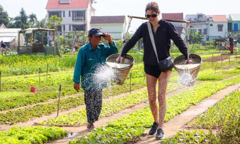 Du khách nước ngoài mê cuốc đất tại làng rau hơn 400 năm tuổi