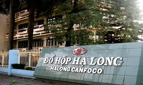 Khởi tố Tổng Giám đốc Công ty CP Đồ hộp Hạ Long