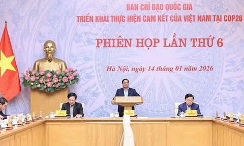 Ô tô điện tăng hơn 28 lần, Thủ tướng chỉ đạo nhiều giải pháp phát triển giao thông xanh