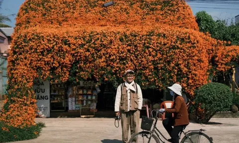 Ngôi nhà hoa xác pháo phủ kín như mái rèm che phủ ở Lâm Đồng lại gây sốt