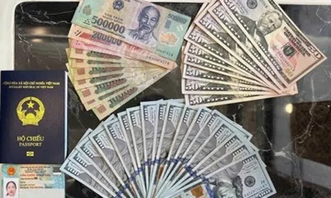 Nữ hành khách bỏ quên túi xách chứa USD trên tàu