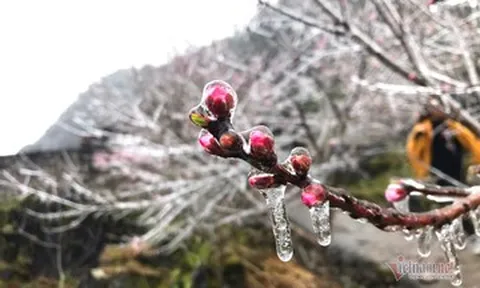 Rét nhất từ đầu mùa đông, miền Bắc có nơi -0,1 độ