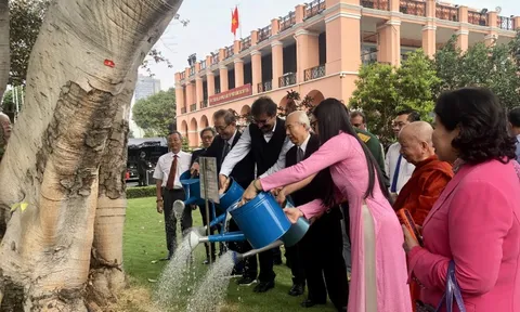 Cây bồ đề tình hữu nghị Việt - Ấn tròn 35 năm tuổi