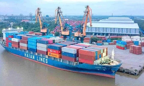 Lãnh đạo Xếp dỡ Hải An không mua hết 1 triệu cổ phiếu HAH đã đăng ký