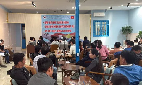 CLIP: 4 người Hàn Quốc bị phạt vì tuyển lao động trái phép ở Cần Thơ