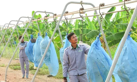 Siêu dự án 750 triệu đô của doanh nghiệp Việt phía sau "cuộc lột xác" của vùng đất Nam Lào