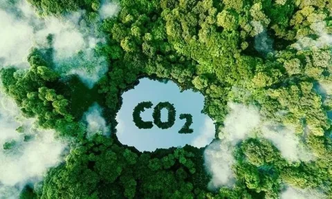 Vingroup tham vọng "biến khói bụi thành tiền": Cuộc chơi triệu USD từ tín chỉ carbon