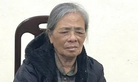 Công an Ninh Bình bắt giữ bà Hoàng Thị Vân