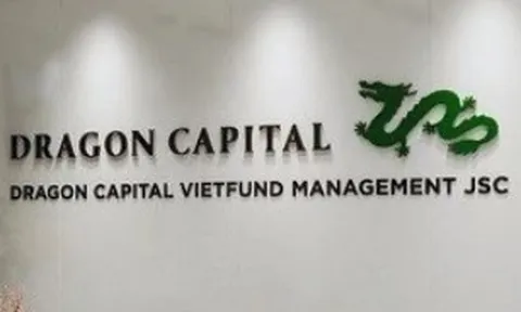 Vì sao lợi nhuận Dragon Capital năm 2025 bất ngờ giảm hơn 50%?