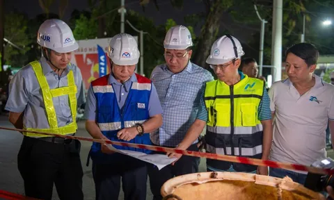 Thông tin nổi bật tại TPHCM ngày 25-1: Xuyên đêm với metro số 2; cúc mâm xôi có rẻ khi "giải cứu"?