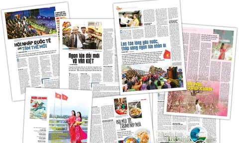 ĐÓN ĐỌC BÁO NGƯỜI LAO ĐỘNG XUÂN BÍNH NGỌ