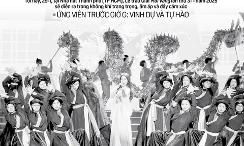 Báo in ngày 29-1: Ứng viên Giải Mai Vàng trước giờ G: Vinh dự và tự hào