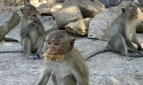 Thông tin nổi bật tại TPHCM ngày 30-1