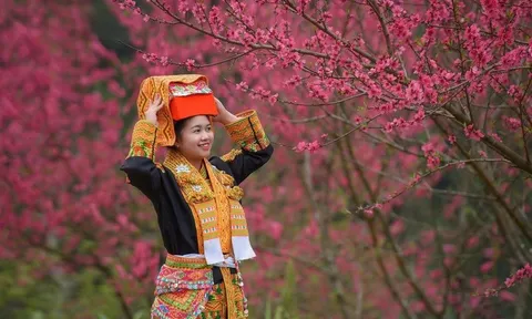 Rực sắc đào nơi biên giới, Lạng Sơn mở hội đón du khách suốt 2 tháng