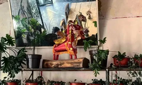 Ngựa vàng mã Việt Nam trong nhà hàng ở Mexico của 'ông Tây'