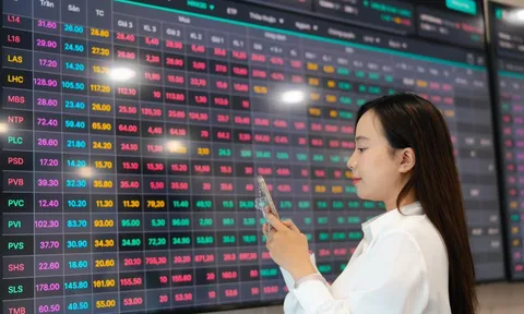 Chứng khoán bùng nổ, đơn vị vận hành HoSE và HNX báo lãi kỷ lục