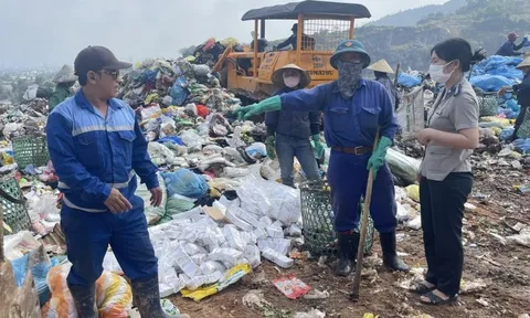 Đà Nẵng tiêu hủy 6.500 bao thuốc lá nhập lậu