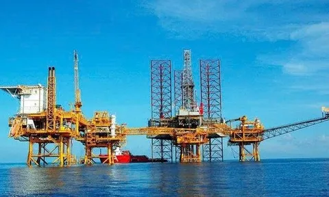 PVS chốt ngày tổ chức ĐHĐCĐ thường niên năm 2026