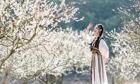 Khách đổ về Mộc Châu cao điểm mùng 4-5 Tết, phòng đẹp kín chỗ từ sớm