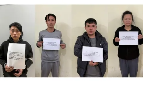 Bắt Trần Thị Tố Loan SN 1996 và nhiều người khác