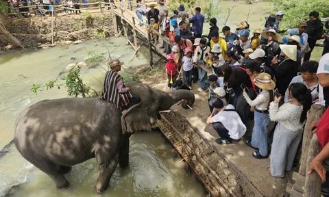 Du lịch Đắk Lắk khởi sắc đầu năm Bính Ngọ