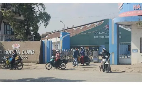 Công ty CP Đồ hộp Hạ Long vẫn dừng hoạt động sản xuất