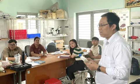 Kinh tế thể thao: Việt Nam có đủ năng lực khai thác 'mỏ vàng'?