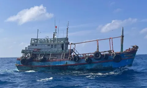 Cảnh sát biển bắt giữ tàu vận chuyển dầu D.O trái phép