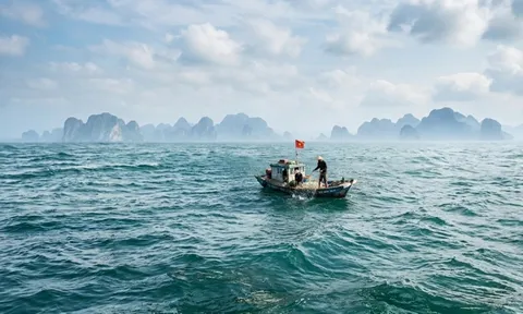 Tàu cá cùng 2 ngư dân bỗng dưng mất tích trên biển Sơn Trà