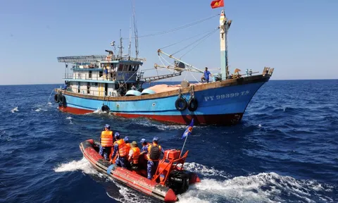 EC bắt đầu đợt kiểm tra lần thứ 5 tại Việt Nam về chống khai thác IUU