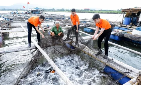 Khi mỗi giao dịch tài chính cũng phản ánh lối sống ‘Xanh’